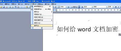 word2003