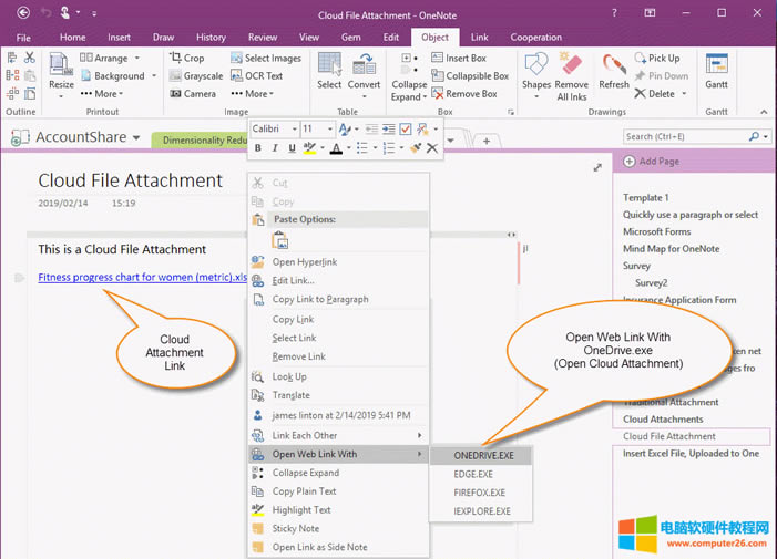  OneNote 2016, 2013, 2010 Ƹ 