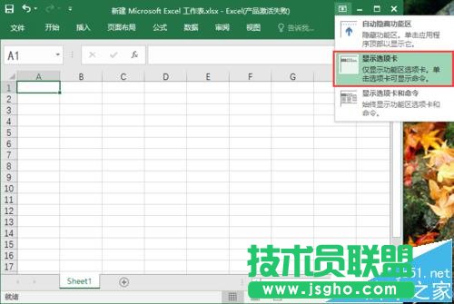 excel2016ôʾ/?