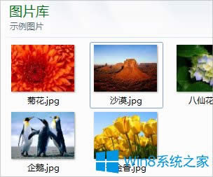 Win8ͼƬʾͼô죿