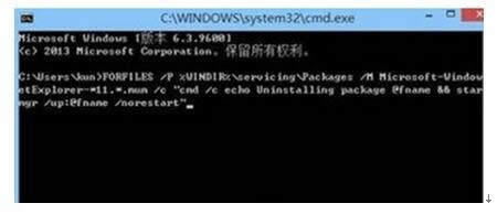 Windows8.1ϵͳɾIE11ʧܵĴ취