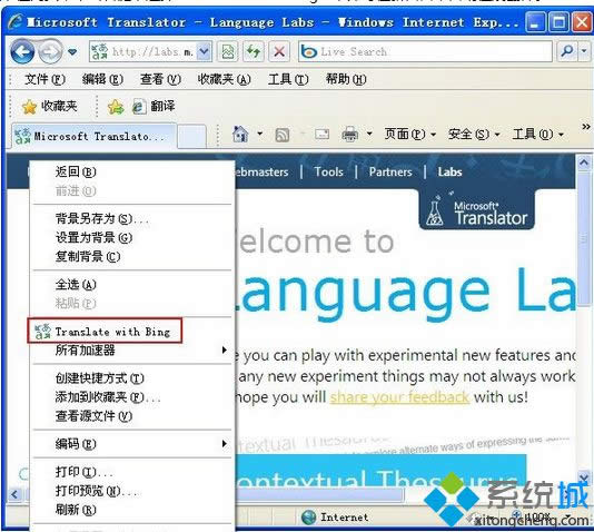 ѡTranslate with Bing